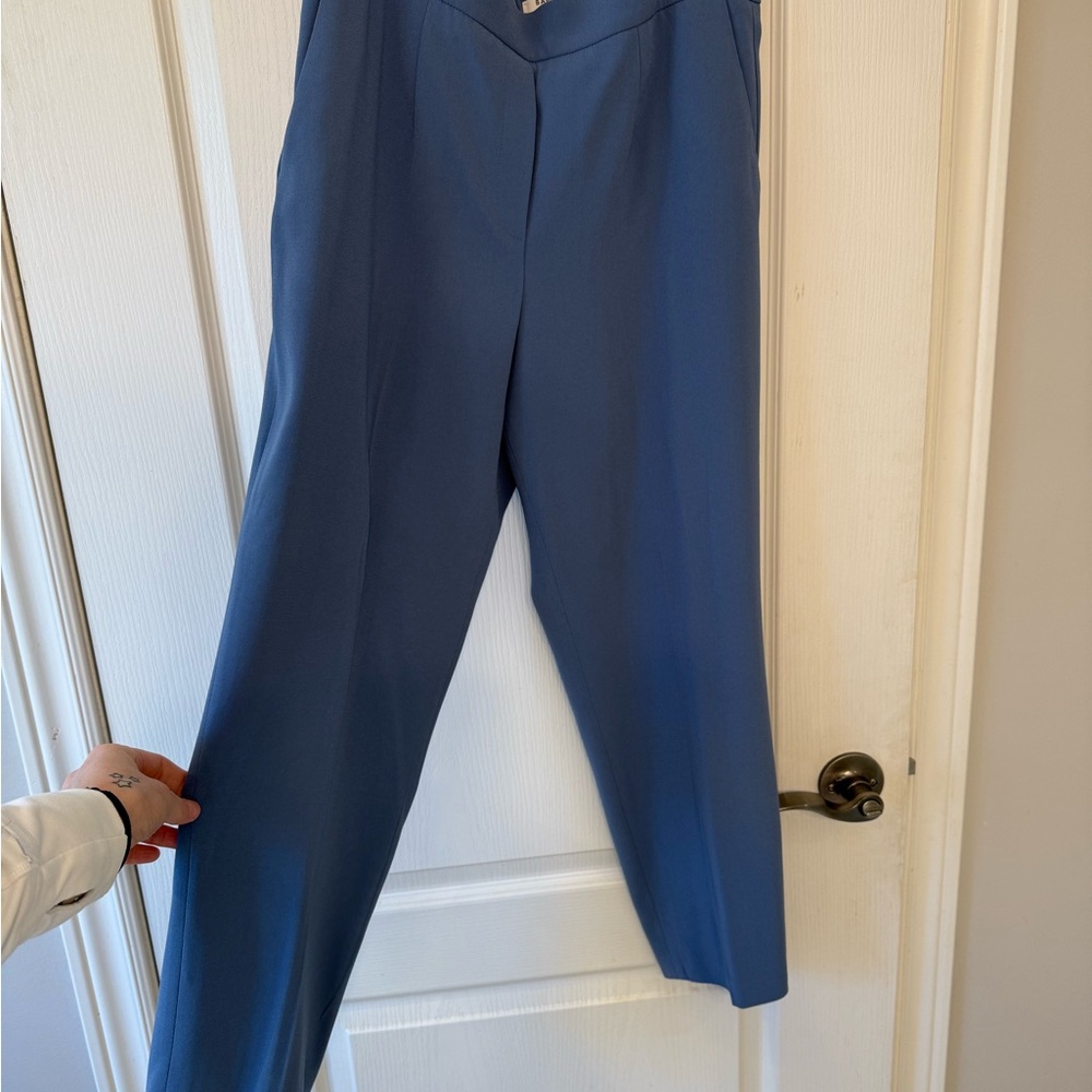 Aritzia Blue Cropped Ankle Pants